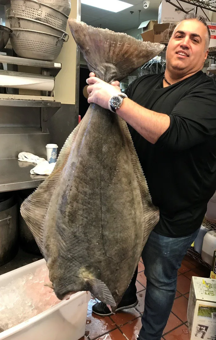 Chef holding a whole fresh halibut in the Piccolo Trattoria kitchen